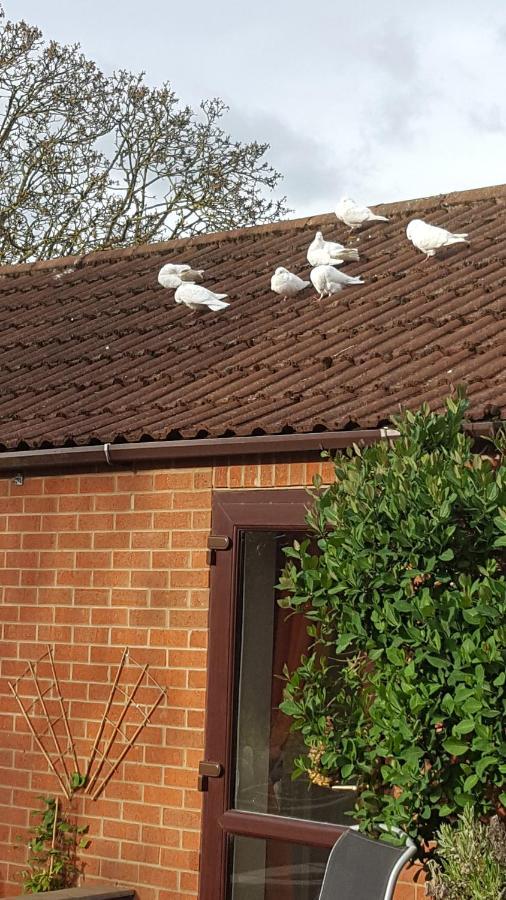 The White Dove Bed And Breakfast With Glamping Newark Showground Экстерьер фото